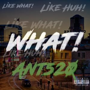 What (Explicit)
