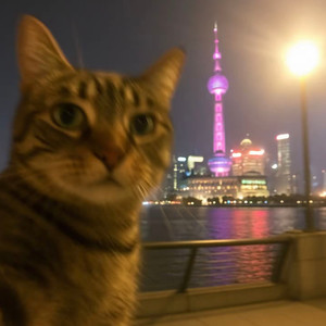 风的日记（幻昼）
