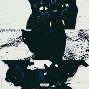 Black Cat (Explicit)