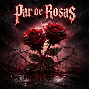 Par de Rosas