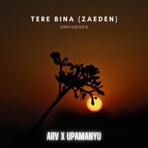 Tere Bina (unpluggled)