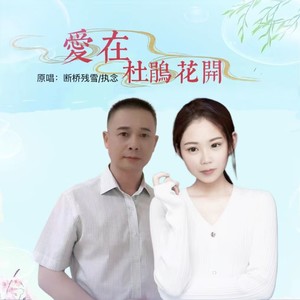 爱在杜鹃花开