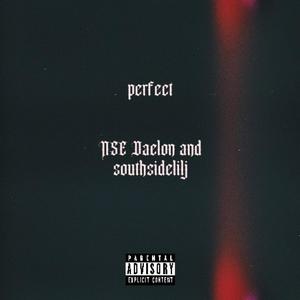 Perfect (feat. southsidelilj) (Explicit)