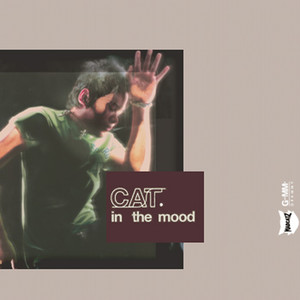 Cat In The Mood