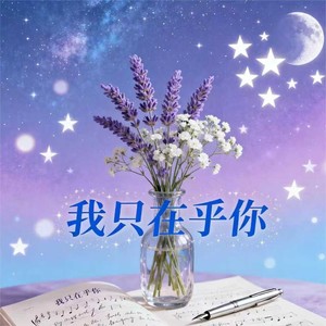 我只在乎你 (男版R&B)