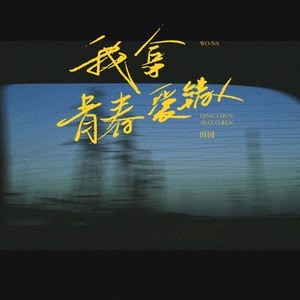 我拿青春爱错人