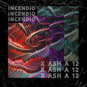 X Ash A 12