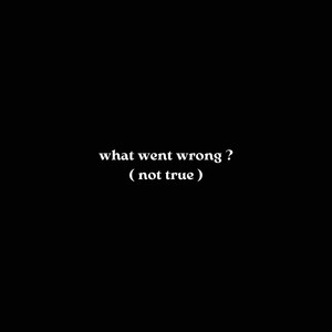 What Went Wrong ? ( Not True ) [Explicit]