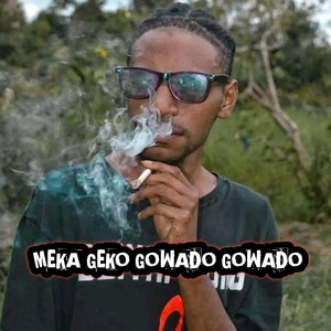 Meka Geko Gowado Gowado (Remix)
