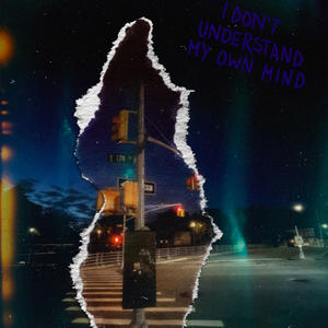 I Don't Understand My Own Mind (Explicit)
