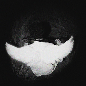 Llanto con Sabor a Vida