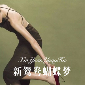 老许 - 新鸳鸯蝴蝶梦 (Remix)