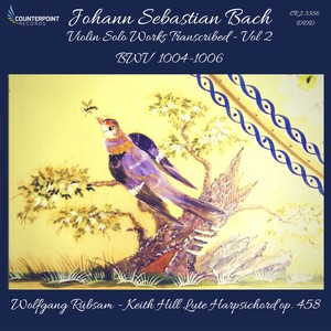 Violin Partita No. 2 in D Minor, BWV 1004 (Arr. W. Rübsam for Lute-Harpsichord) - I. Allemande