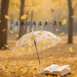 后来没有后来