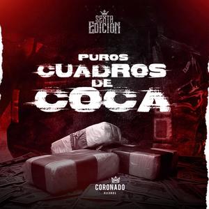 Puros Cuadros De Coca