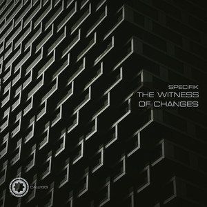 The Witness Of Changes (Original Mix)