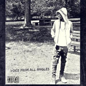 Voice From All Angles (Explicit)