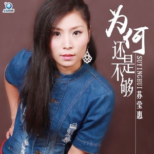 我只喜欢你 (伴奏)