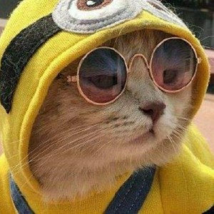 Talk about（pro by ZS Beatz）