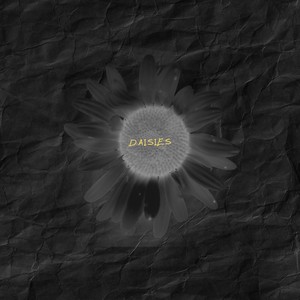 Daisies (Acoustic Version)
