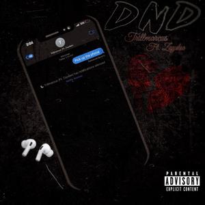 DND (feat. Zaydoe) [Explicit]