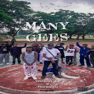 Many Gees (Explicit)