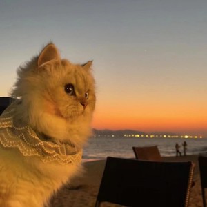 阿吉野马 - 我们的歌 (DJ Slowed)