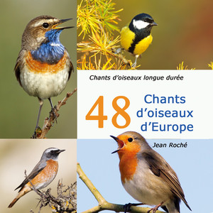 Jean Roché - Cochevis huppé-Galerida cristata (Chants d'oiseaux longue durée - ornithologie)