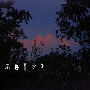 不再是少年