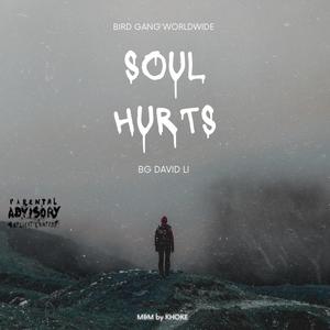 Soul Hurts (Explicit)