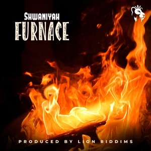 Furnace