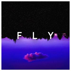 Fly