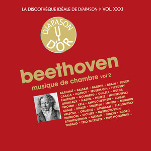 Variations on an Original Theme in E-Flat Major, Op. 44 (Piano Trio No. 10) - Tema. Andante - Variations I-XIV