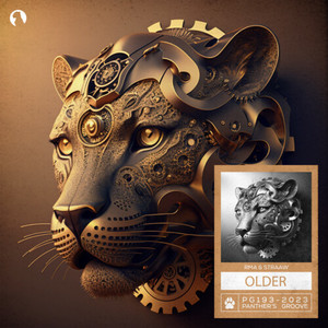 Older (Extended Mix)