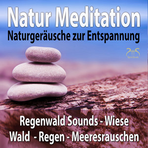 Gewitter Geräusch: Donner, Regen, Donnergrollen, Unwetter zieht ab