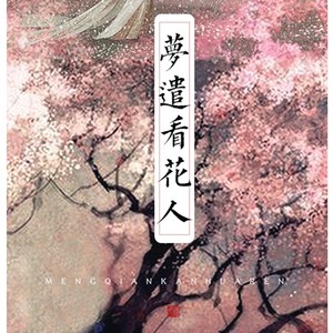梦遣看花人封面