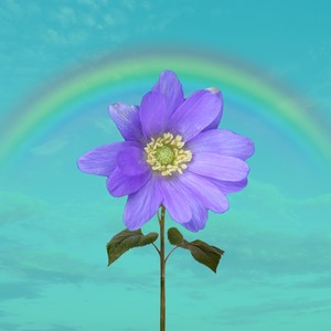 So Done(feat. Xenon Phoenix) (Explicit)