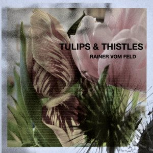 Tulips & Thistles