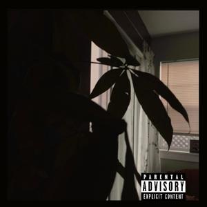 I cant even trip (Explicit)