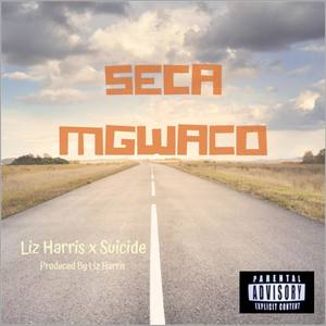 Seca Mgwaco(feat. Liz Harris)