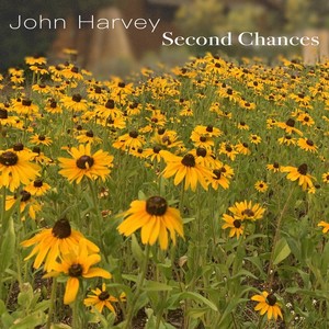 Second Chances (Explicit)