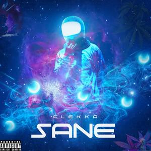 Sane (Explicit)