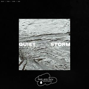 Quiet Storm (feat. Eric Fury) (Explicit)
