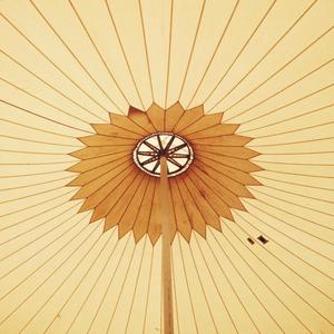 Shining Door Star (Reddi Rocket Remix|Explicit)