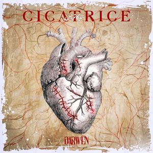 CICATRICE