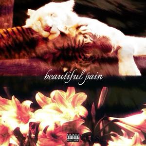 beautiful pain (Explicit)