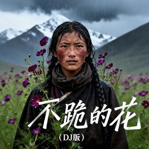 不跪的花-央金拉姆