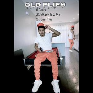 Old Flies (Explicit)