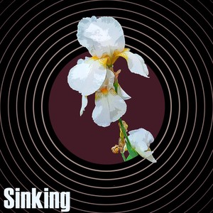 Sinking(feat. Maca Gomez)