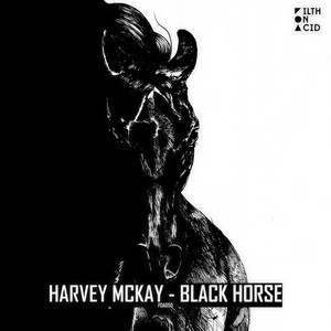 Black Horse (Original Mix)